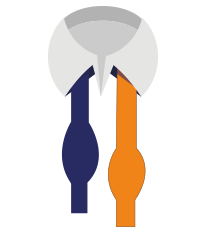bow-tie